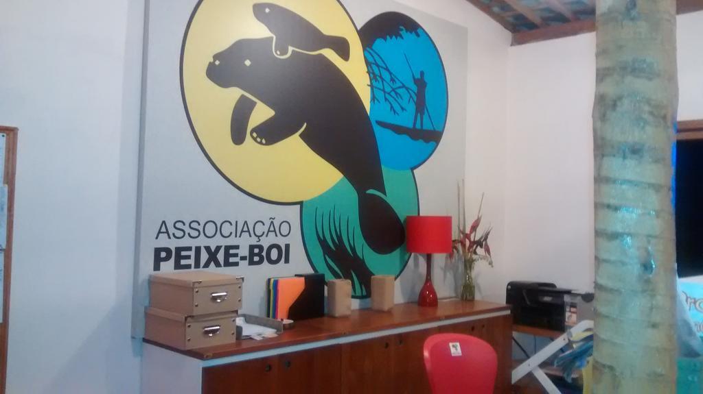 Aconchego Dos Milagres Villa São Miguel dos Milagres Buitenkant foto
