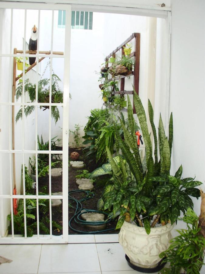 Aconchego Dos Milagres Villa São Miguel dos Milagres Buitenkant foto