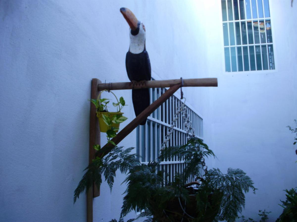 Aconchego Dos Milagres Villa São Miguel dos Milagres Buitenkant foto